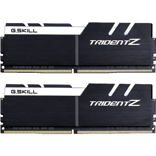 G.SKILL F4-3200C16D-32GTZKW [Trident Z 32GB (16GBx2) DDR4 3200Mhz (PC4-25600) 1.35V XMP 2.0 Black/White]