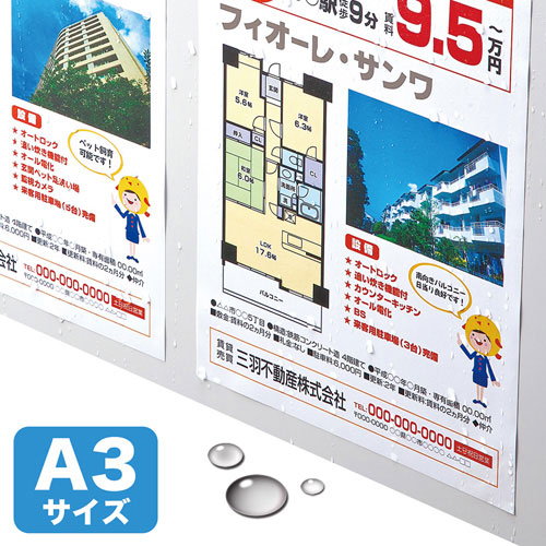 LBP-WPF12MDP-A3_画像1