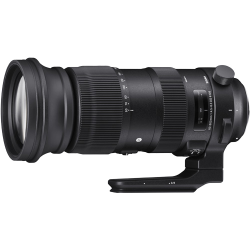 シグマ S 60-600mm F4.5-6.3 DG OS HSM NA [60-600mm F4.5-6.3 DG OS HSM (Sports) ニコン用]