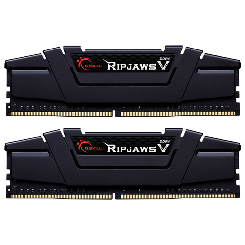 G.SKILL F4-3600C18D-16GVK [Ripjaws V 16GB (8GBx2) DDR4 3600Mhz (PC4-28800) CL18-22-22-42 1.35V Black]