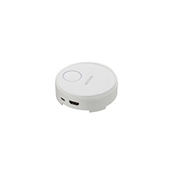 リコー 514300 [RICOH Wireless Projection Option Button1]