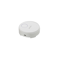 リコー 514301 [RICOH Wireless Projection Option Button2]