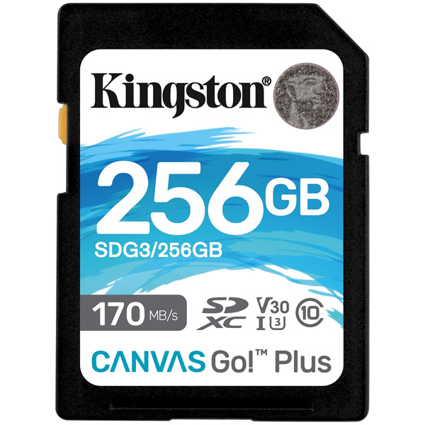 キングストン Kingston Canvas Go! Plus SDXC SDG3/256GB [256GB SDXCカード UHS-I U3]