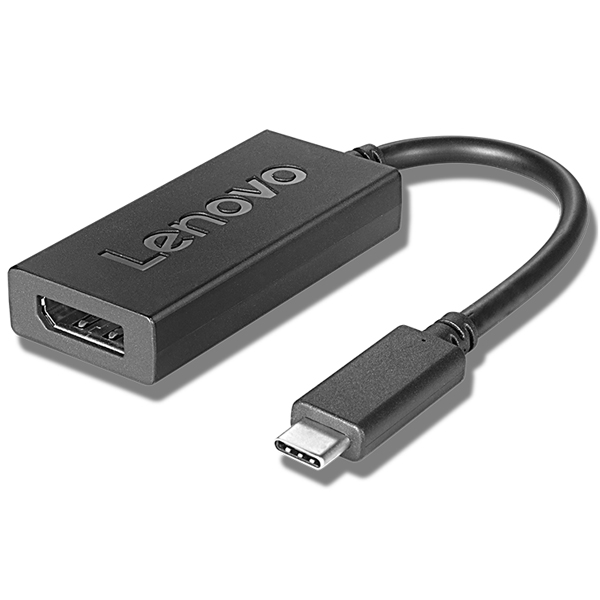 レノボ・ジャパン 4X90Q93303 [USB Type-C - DisplayPortアダプター(2018)]