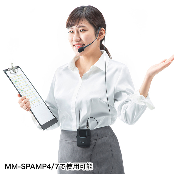 MM-SPAMP4WHS_画像1