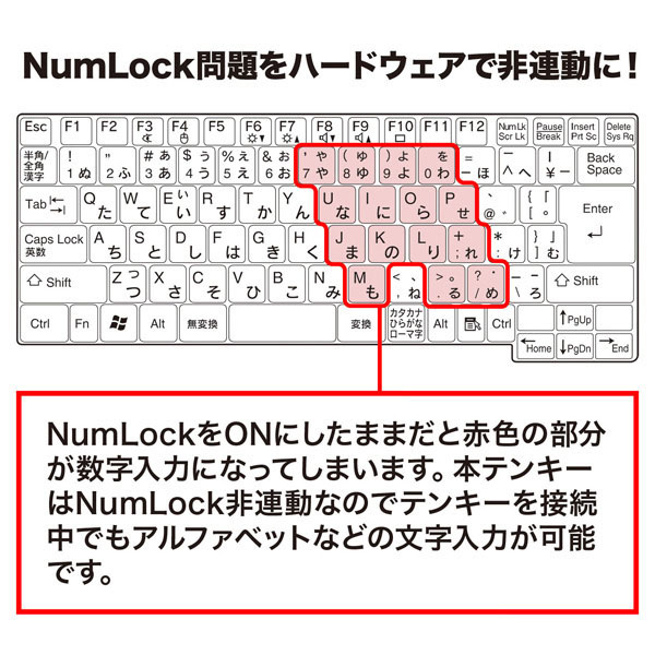 NT-WL20BK_画像4