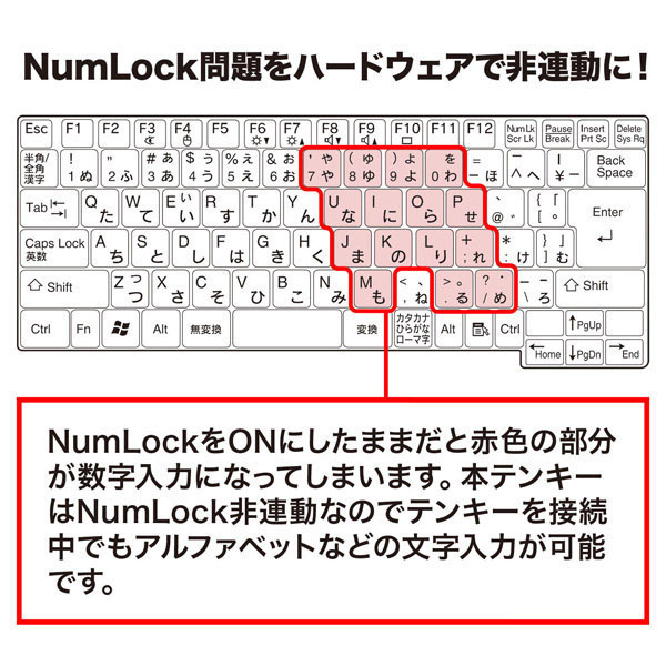 NT-WL20SV_画像4