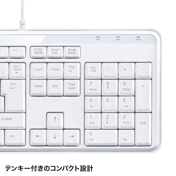 10個セット サンワサプライ スリムキーボード(ホワイト) SKB-SL16W 15倍ポイント