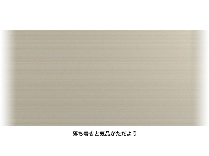 P1T6NPEG_画像3