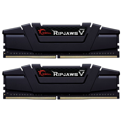 G.SKILL F4-3600C16D-64GVK [Ripjaws V 64GB (32GBx2) DDR4 3600Mhz (PC4-28800) CL16-22-22-42 1.45V]