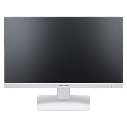 e-TREND|プリンストンテクノロジー PTFWLE-22W [DP搭載 21.5型ワイド