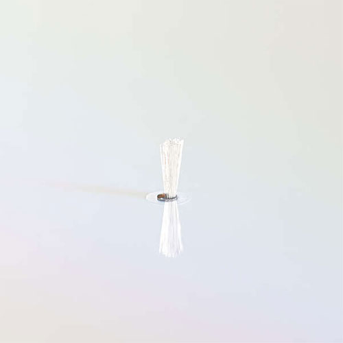 CK-BRP1_画像2