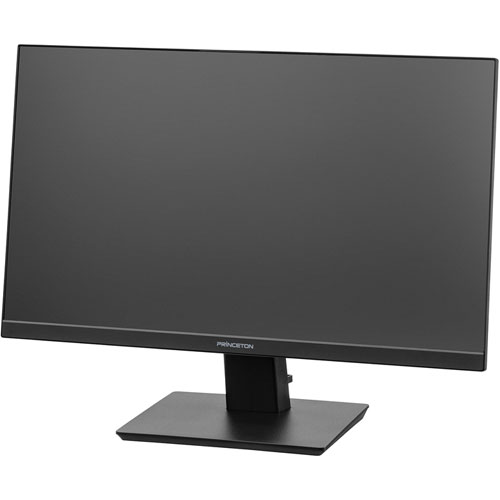 e-TREND|プリンストンテクノロジー PTFWFE-24W [DP搭載 23.8型ワイド