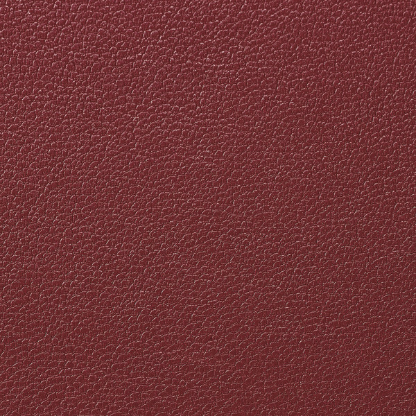 PM-S205PLFYILRD_画像2
