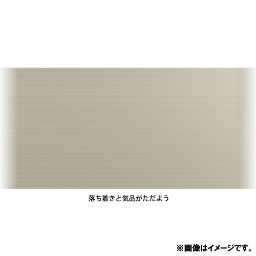 P2T8RPBG_画像4