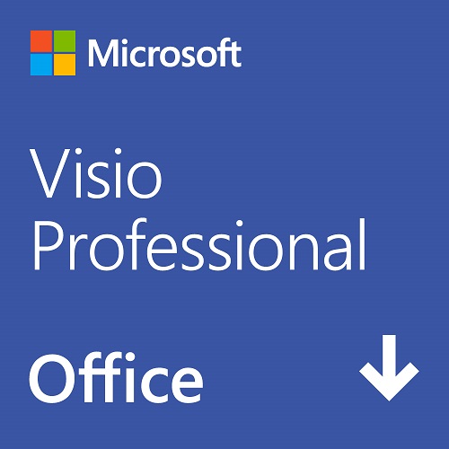 マイクロソフト ダウンロード販売用VisioProfessional 2021