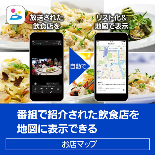 DMR-4S102_画像13