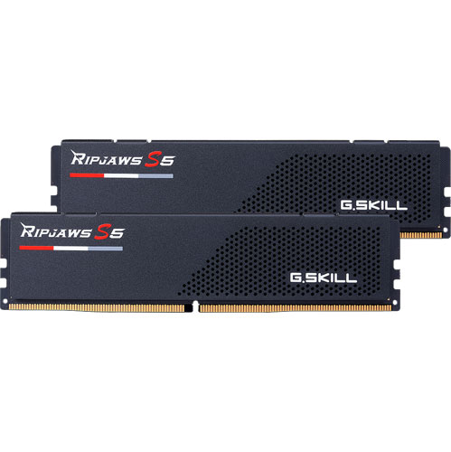 G.SKILL F5-5600J3636D32GX2-RS5K [Ripjaws S5 64GB (32GBx2) DDR5 5600MHz (PC5-44800) CL36-36-36-89 1.25V Bk]