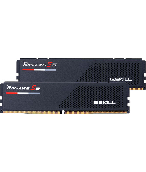 G.SKILL F5-6000J3040G32GX2-RS5K [Ripjaws S5 64GB (32GBx2) DDR5 6000MHz (PC5-48000) CL30-40-40-96 1.40V Bk]