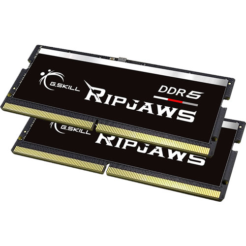 F5-4800S3838A32GX2-RS [Ripjaws SO-DIMM 64GB (32GBx2) 4800Mhz (PC5-38400) CL38-38-38-76 1.10V]