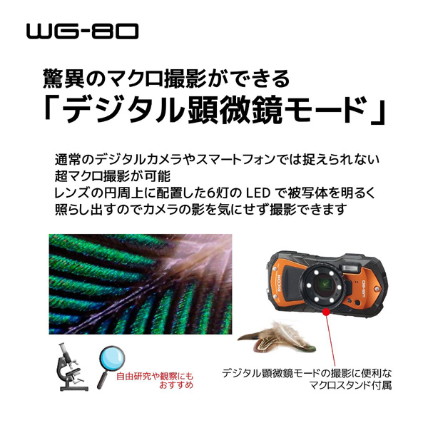 e-TREND｜リコー WG-80BK [防水デジタルカメラ WG-80 ブラック]