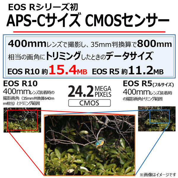 EOS R10 ボディ_画像7