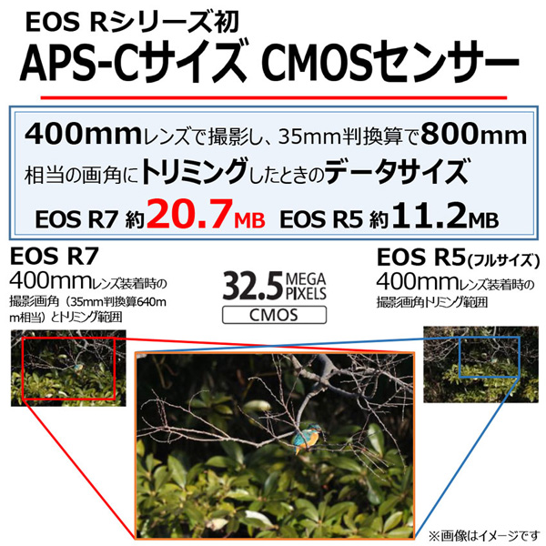 EOS R7 ボディ_画像9