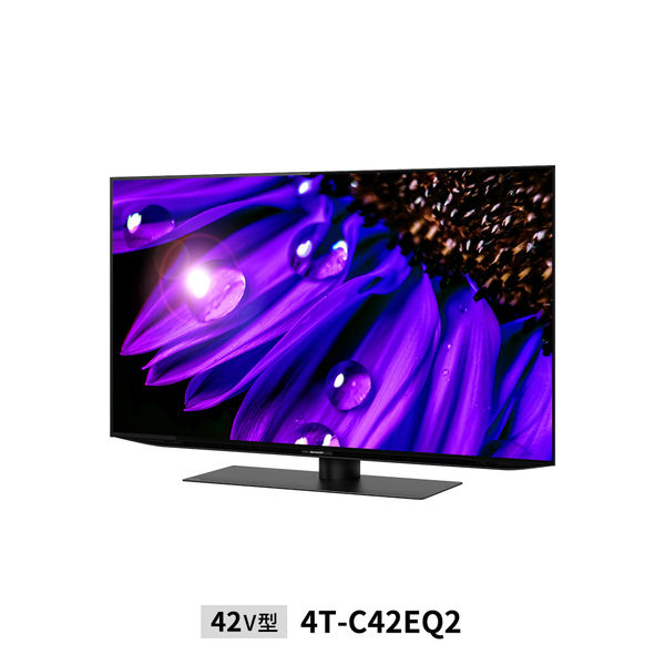 売り出しお値下 2022年製シャープ ほぼ新品 4K液晶テレビ 4T-C42DJ1 42V型 テレビ