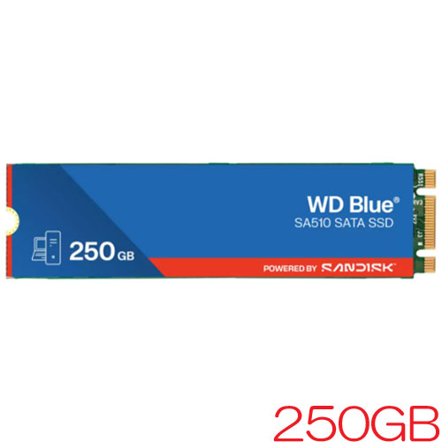 WDS250G3B0B_画像0
