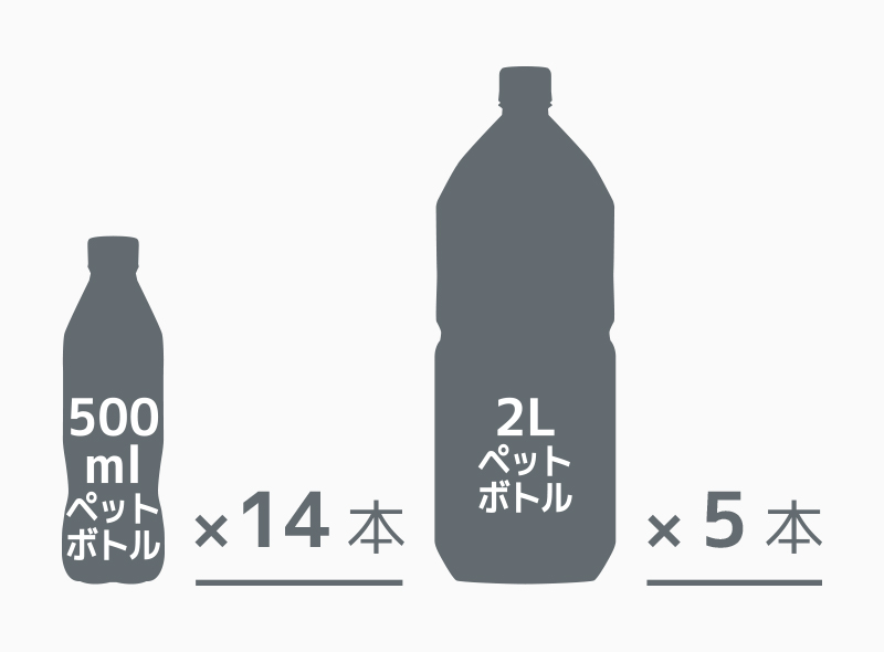 REZ-017DS-GY_画像4