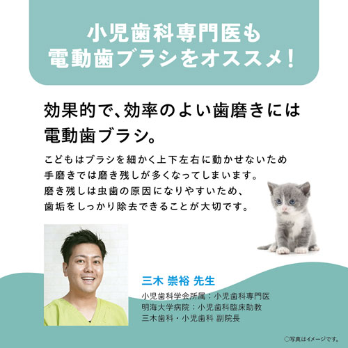 EW-DK31-P_画像6