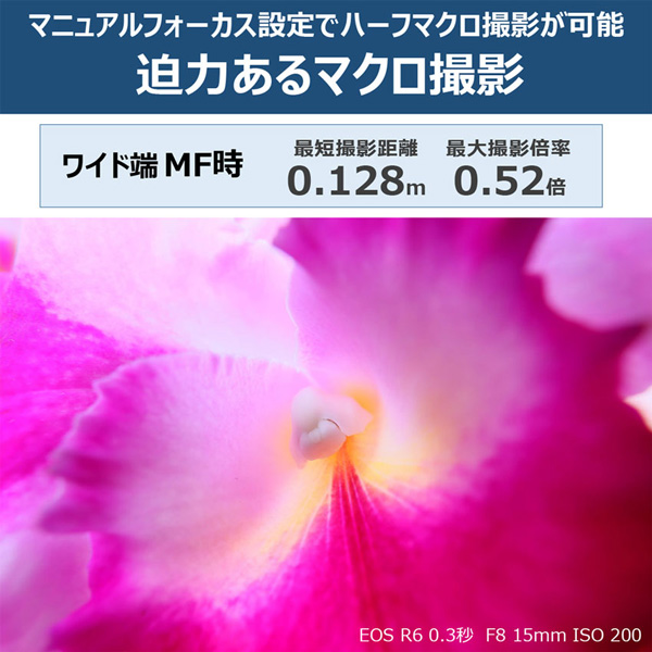 5775C001_画像6