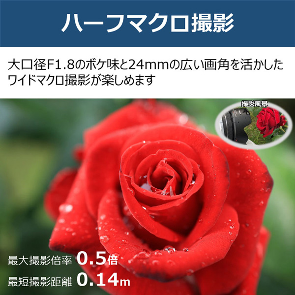 5668C001_画像5