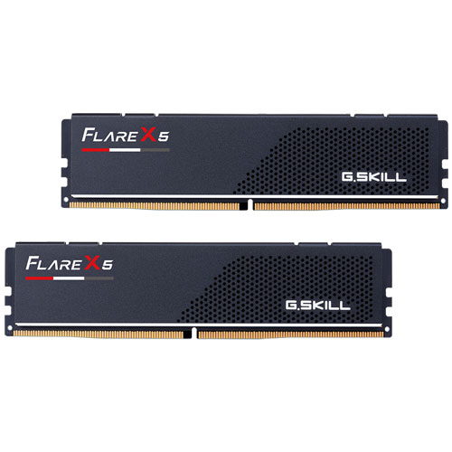 G.SKILL F5-5600J3636C16GX2-FX5 [Flare X5 (For AMD) 32GB (16GBx2) DDR5 5600MHz CL36-36-36-89 1.20V]