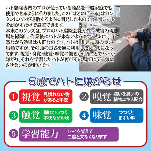805982_画像1