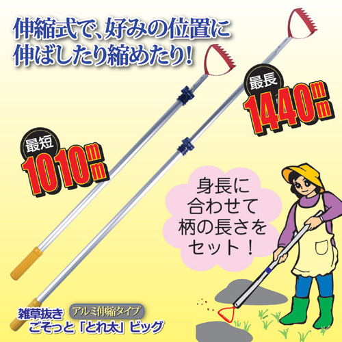 870276_画像3
