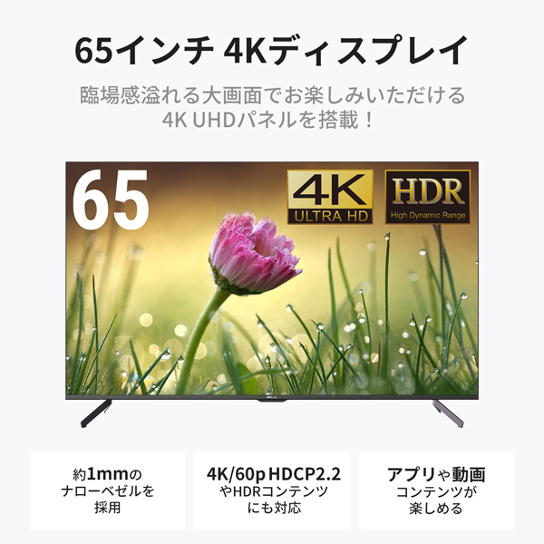 DKS-4K65DG5_画像12