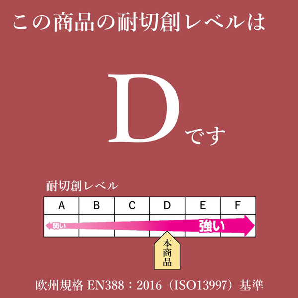 WKTG3LR_画像5