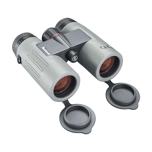 Bushnell ニトロ10x36 BN1036G / 阪神交易