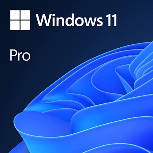 マイクロソフト FQC-10572 [ダウンロード販売用　Windows 11 Professional]