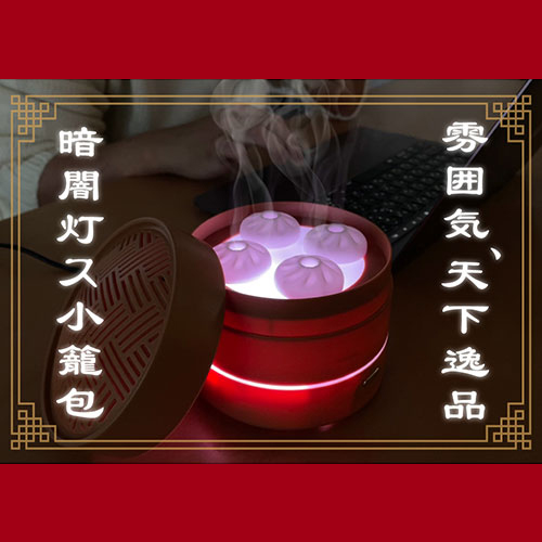 CHSTHUSBW_画像1