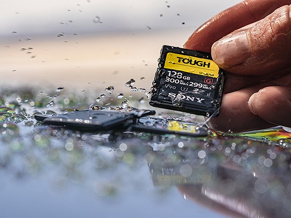 SF-G256T_画像4