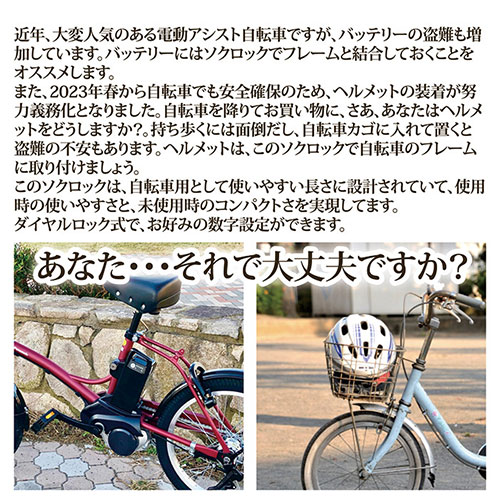 8131221_画像2
