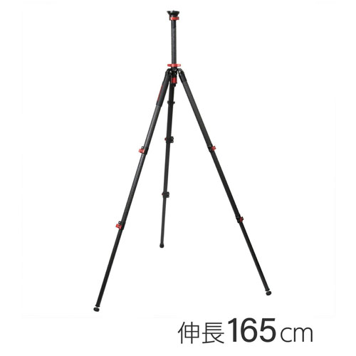Gazelle UPRISE TC6S_画像1