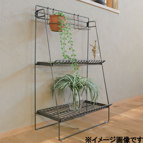 WW-WBR_画像1
