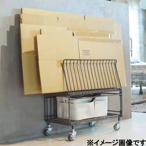 WW-WCS_画像1
