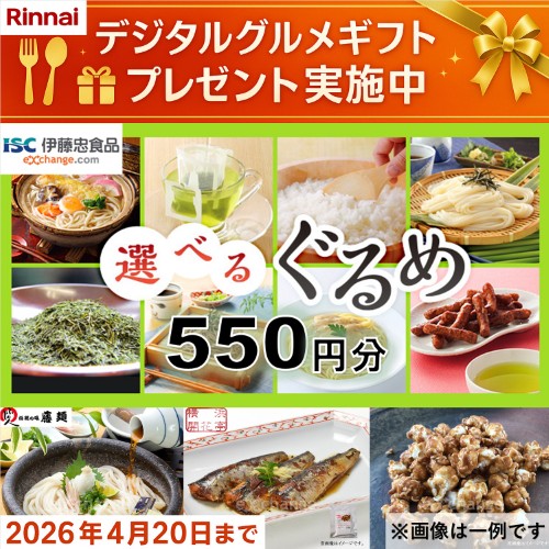 KG66VTAWL 13A_画像1