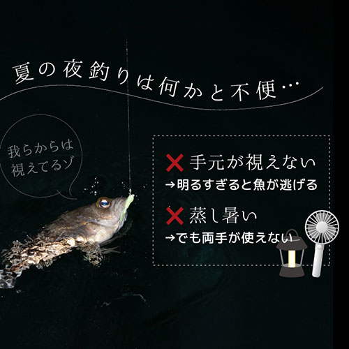 LGTFANSWH_画像2