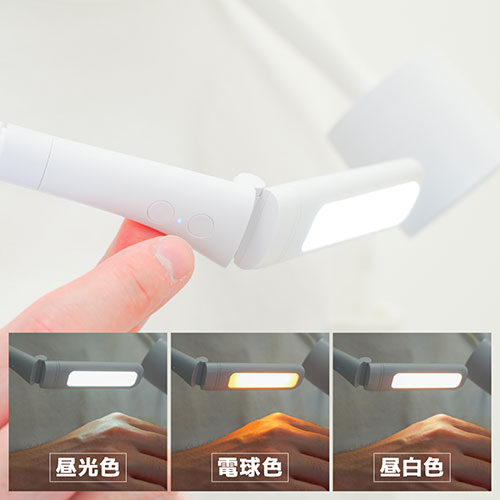 LGTFANSWH_画像4