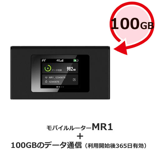 MS4GRA01100 [jetfi MR1 年間通信プラン付き100GB]